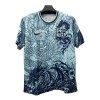 Nogometni Dres Barcelona Dragon Special 2024-25